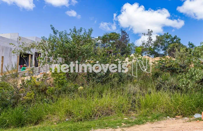 Venda Lote em condomínio Lagoa Santa Park Residence Lagoa Santa