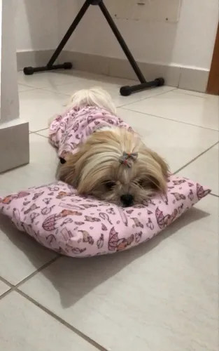 Kit pijama Pet 