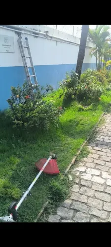Manutenção/roçada de gramados profissional.