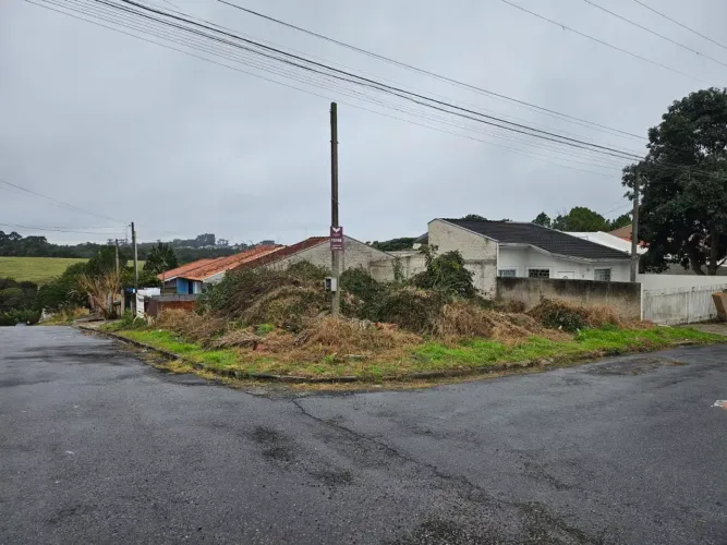 Terreno / Lote em CAMPO LARGO com 221 m²