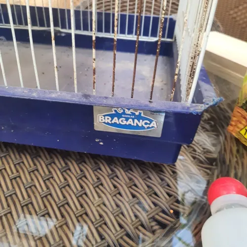 Gaiola Bragança para chinchila, twister, gerbil, hamster