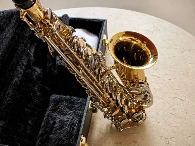 Saxofone Alto Eagle SA500 LN Dourado com Chaves Niqueladas + Estojo