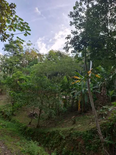 Terreno para sítio