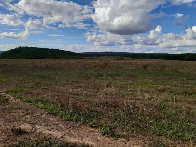 Fazenda de 1.560 hect. Entre vila Bela e conquista do oeste MT. R$:11 milhões
