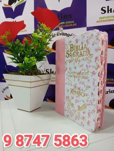 Bíblia Evangélica Letra Jumbo