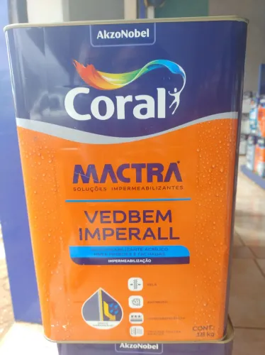 Coral emborrachada cores mactra