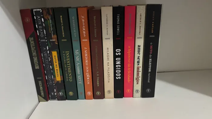 Coleção Clube do Livro Ludovico - 12 livros (capa dura)
