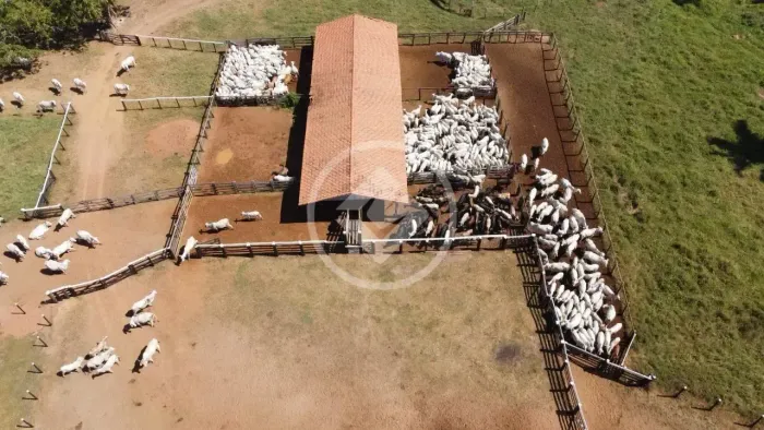 São Félix do Araguaia - Fazenda de 2815 Hectares codigo: 142874