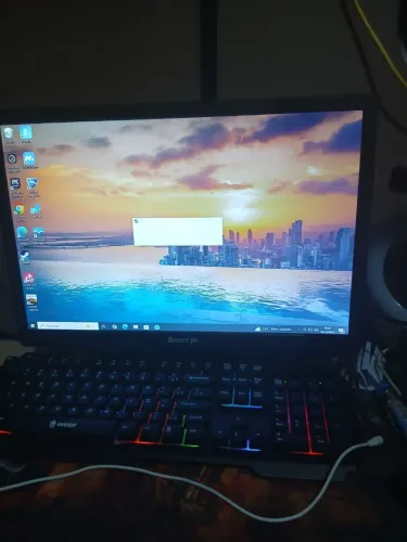 PC gamer