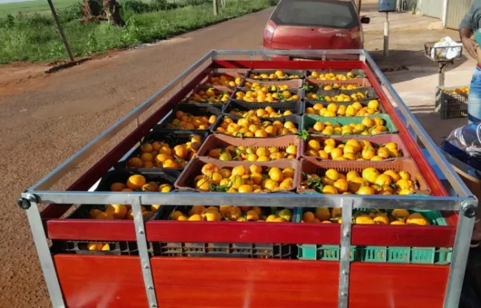 Reboque agro carretinha frutas verduras 