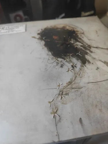 Vinil - Peter Gabriel - A última tentatição de Cristo de 1989