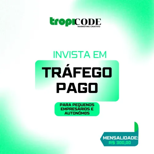Tráfego Pago para autônomos e pequenos empresários 
