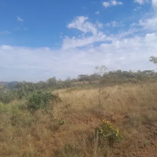 Terreno de 20 mil metros na região dos olhos daquas 