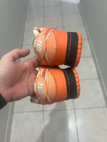 Nike Dunk Low lobster - Laranja e Branco