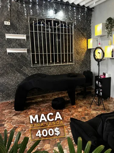 Maca para studio