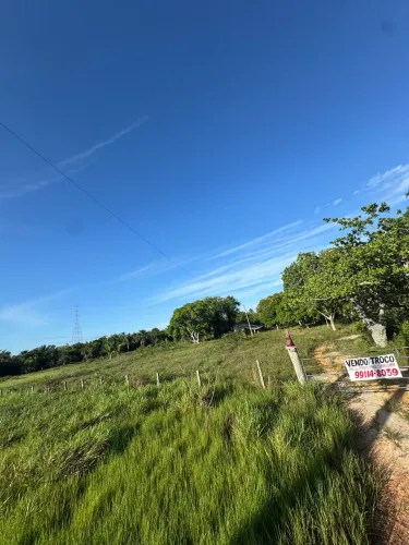 VENDO FAZENDA 50h ANTES DO 20 BEIRA DA RR 432