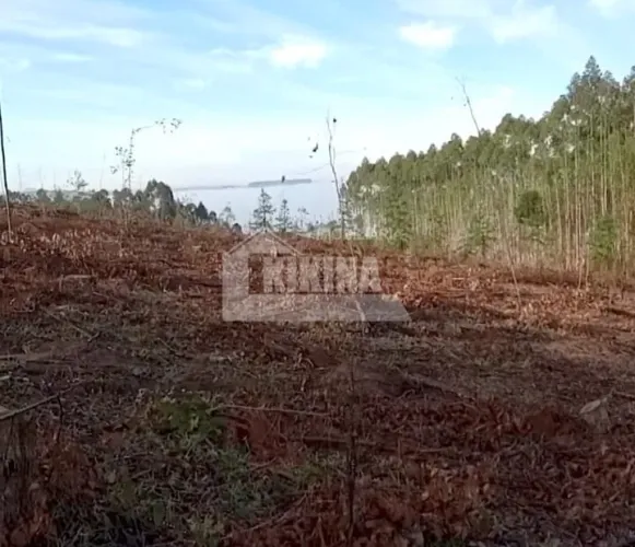 CHÁCARA A VENDA NO DISTRITO DO AMPARO EM TIBAGI