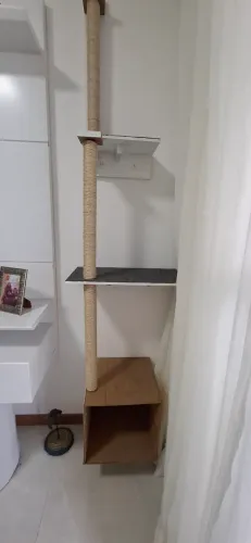 Arranhador gatos