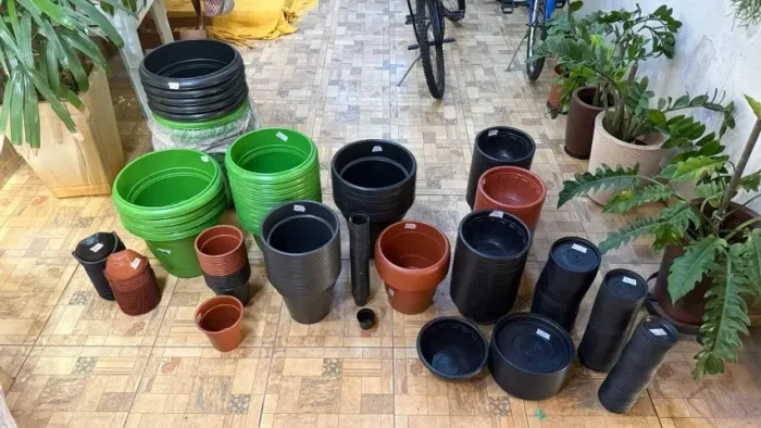 Conjunto de vasos de planta