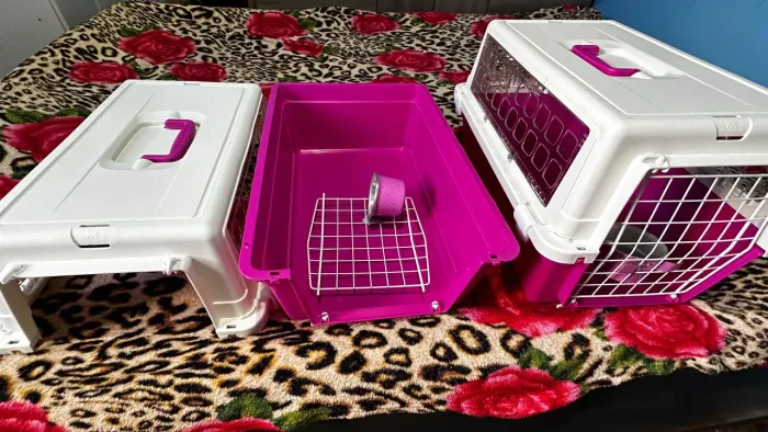 Caixas de transporte para pets, 200 cada