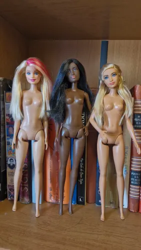 Barbie Fashionistas lote w