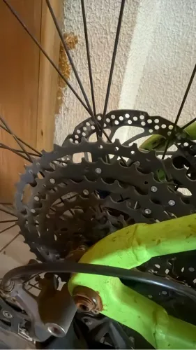 Bike Assistida Oggi 8.2