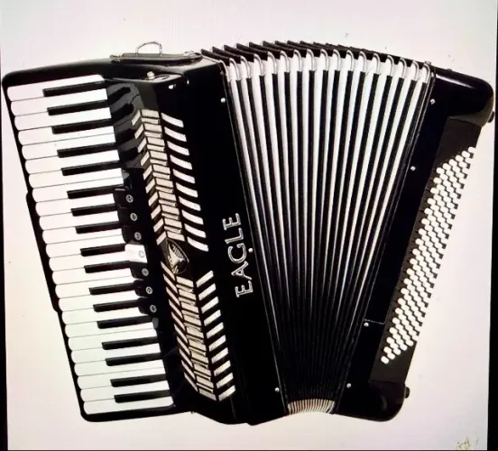 VENDO EXCELENTE ACORDEON 120 BAIXOS SEMI-NOVA