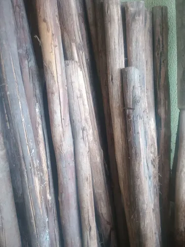 Pontaletes de eucalipto 