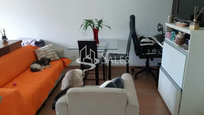 Kitnet reformada com uma vaga de garagem e repleta de armários embutidos.