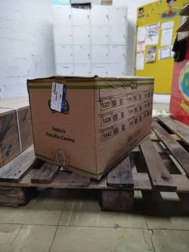 CAIXAS DE PAPELÃO PARA SUA MUDANÇAS