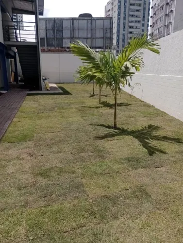 Venda de grama esmeralda