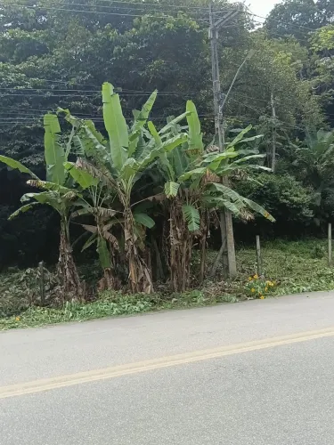 Sítio terreno