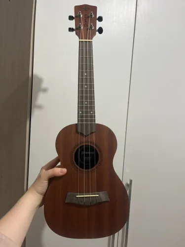 Ukulele Strinberg Concert
