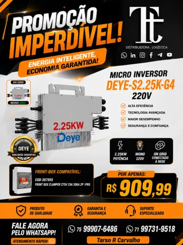 MICRO INVERSOR DEYE-S2.25K-G4 220V