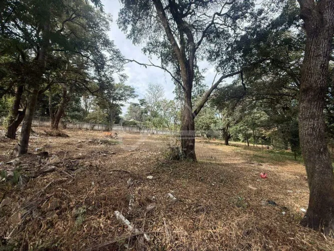 Lote à venda, Trevo - Belo Horizonte/MG