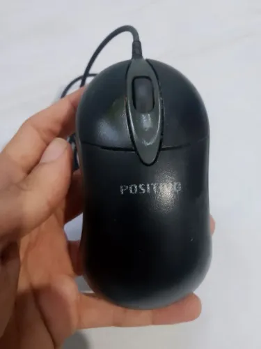 Mouse