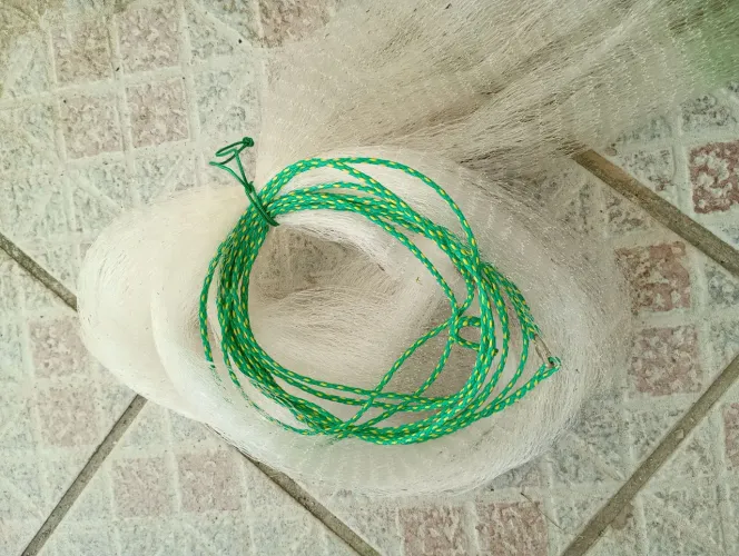 Tarrafa de camarão 