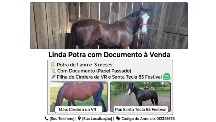 Potra com ótima Genética