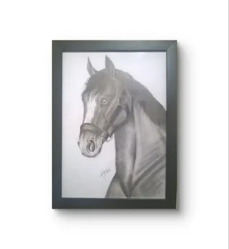 Quadro Desenho em grafite - Cavalo - 30 x 21 com moldura