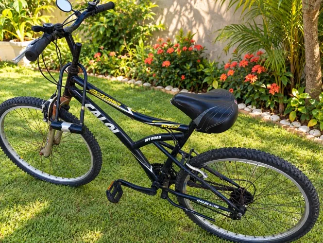 Bike Caloi andes aro 26 com 21v