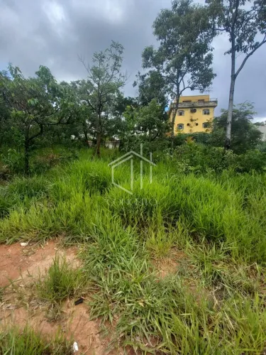 02 lotes no bairro São Bernardo