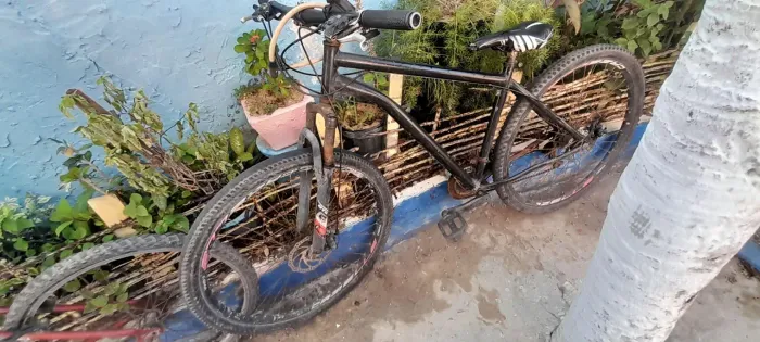 Bicicleta aro 29