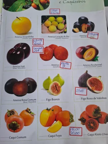 Mudas frutífera enxertada só $28,00