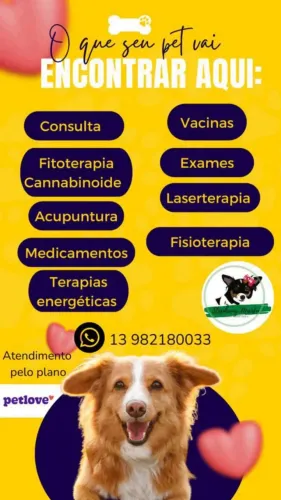 Veterinária