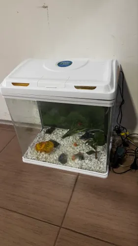 Aquário