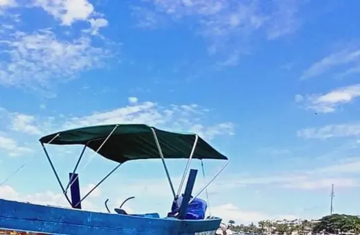 Toldo capota