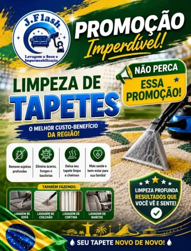 Lavagem a seco - tapetes , colchões , sofás 