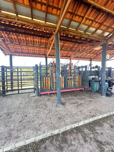 sitio em santa rosa do viterbo 12 alqueires  3.300.000.00   ( ma-s-r )