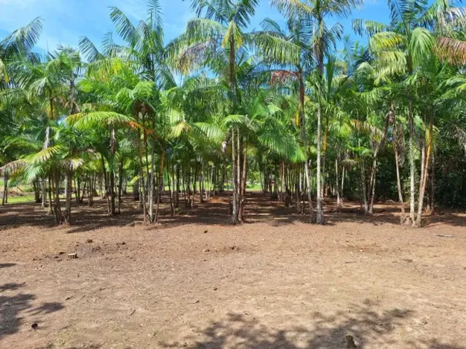 Terreno na Comunidade Cristo Rei 37 × 60 m²