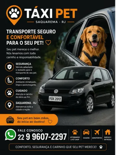 Taxi pet